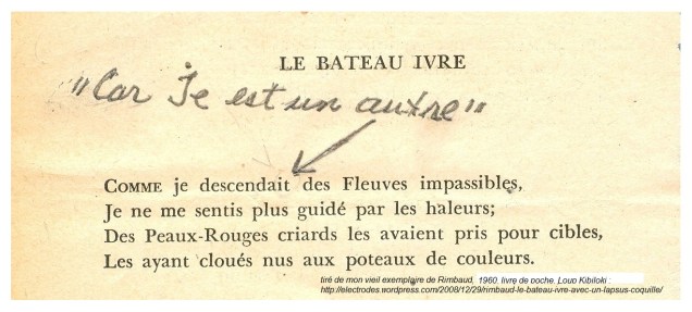 Comme_je_descendait_2011__04_electrodes