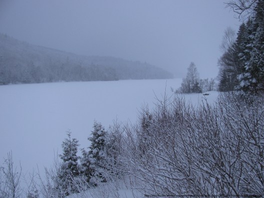 img_0024_hivlsl_14_couleur_http