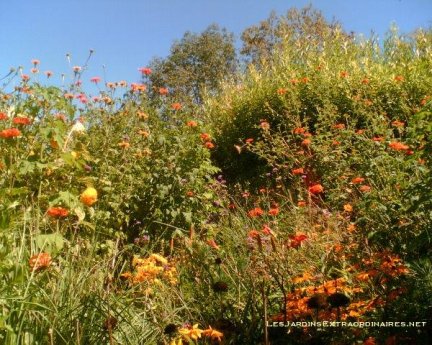 Plantes_-sauvages-__Jardins_des_Paradis__Cordes_sur_ciel Jardins des Paradis, Cordes sur Ciel, France.
