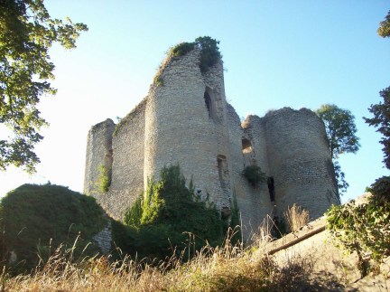 Donjon__ruines_du_donjon_medieval de_Jouy__Sancoins