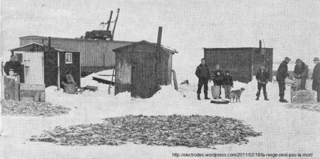 Pêche d'hiver aux poulamons, ou aux «petits poissons des chenaux» dans la région de la ville de Trois-Rivières au Québec - ou encore, la «pêche aux petites morues». Photo prise au Québec, vraisemblablement au début des années 1950s. Elle provient du journal Le Nouvelliste de Trois-Rivières et elle est reproduite dans Le Jeune Naturaliste de f'évrier 1954.