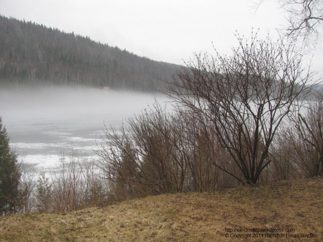 Haute_Matawinie_2mai2011_LacStLouis_Loup_Kibiloki_couleur_http