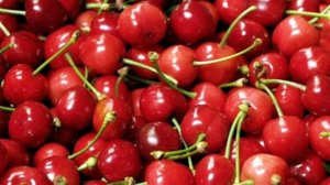 Cerises__Cherries__01